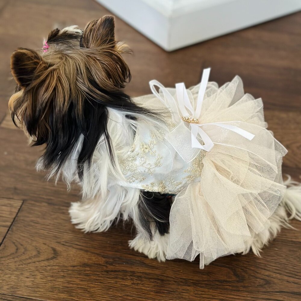 Dog Spring/Summer Breathable White Wedding Dress Princess with Pulling Cord XXS
